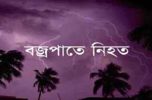 বজ্রপাতে নিহত
