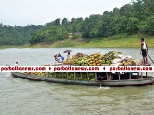 Rangamati Mix frut pic01 copy