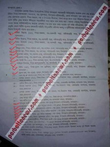 list-1 copy