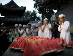 113783_1