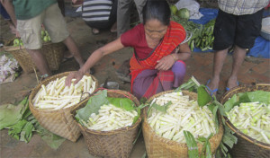 বাঁশকরুল