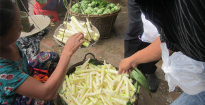বাঁশকরুল ১