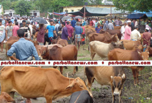 Korbanir Bazar News Pic