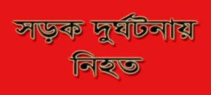 সড়ক দুর্ঘটনায় নিহত