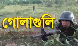 গোলাগুলি