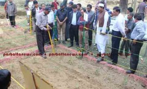 IPM news  pic 2