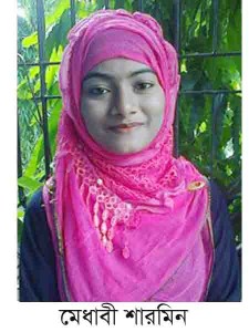 Sarmin Pic n