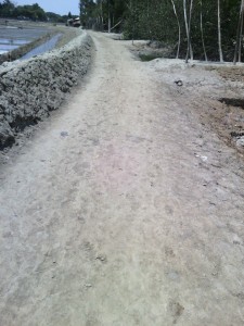 mognama raod pic 02