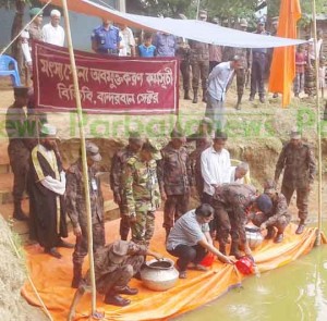 Bandarban Bjb pic-31.7