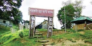 ািুডডপ